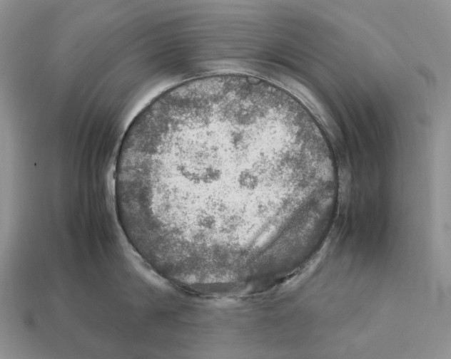 X0000112950814200909211153