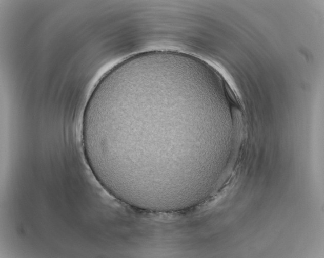 X0000112950815200909211153