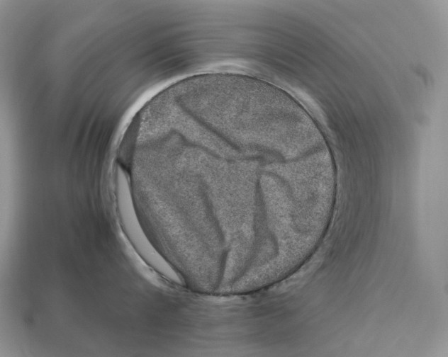 X0000112950816200909211153