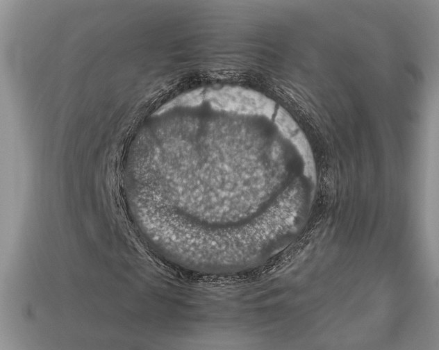 X0000112950817200909211152