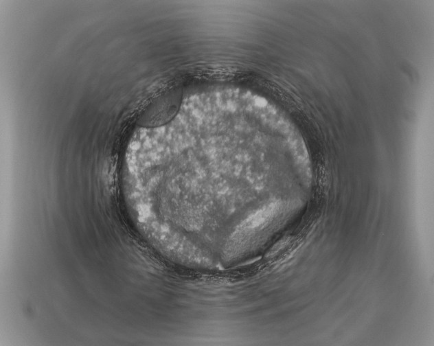 X0000112950818200909211152