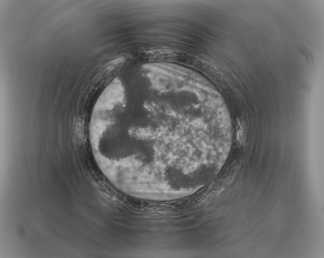 X0000112950819200909211152