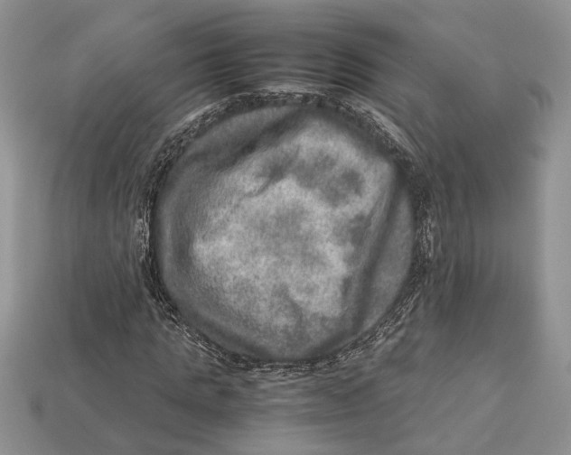 X0000112950821200909211152