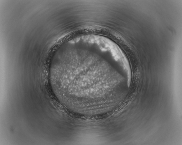 X0000112950822200909211152