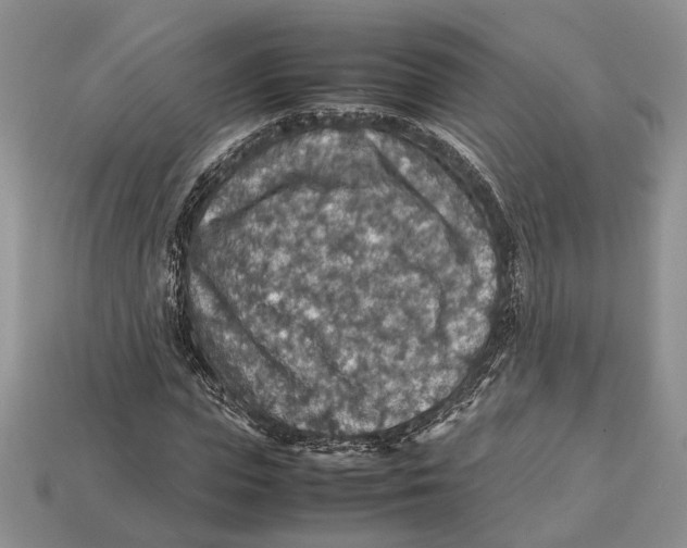 X0000112950823200909211152