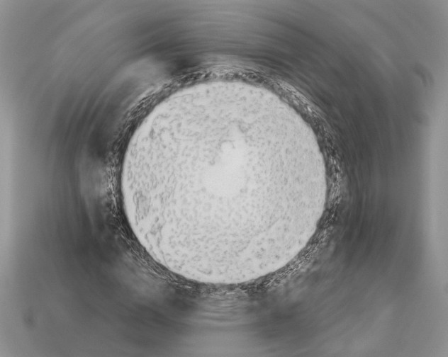 X0000112950824200909211152