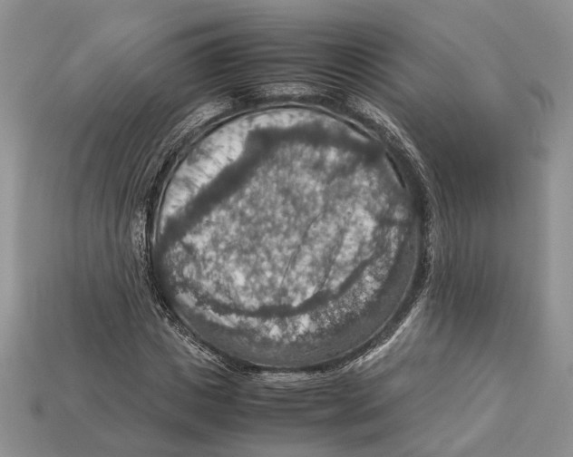 X0000112950825200909211152