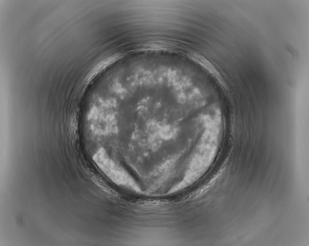 X0000112950826200909211152