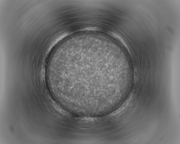 X0000112950827200909211153