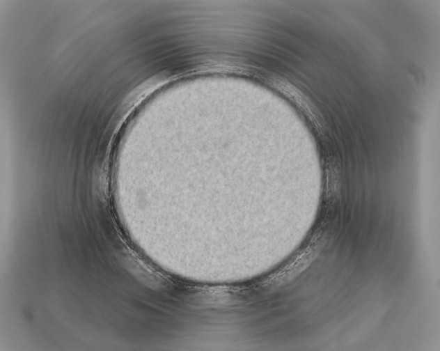 X0000112950828200909211153