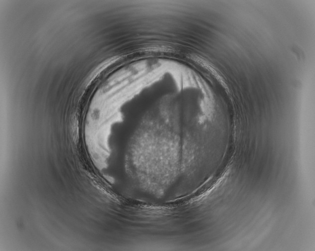 X0000112950829200909211153