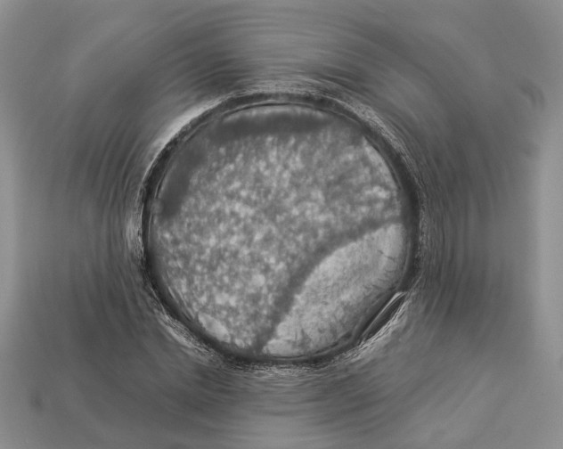 X0000112950830200909211153