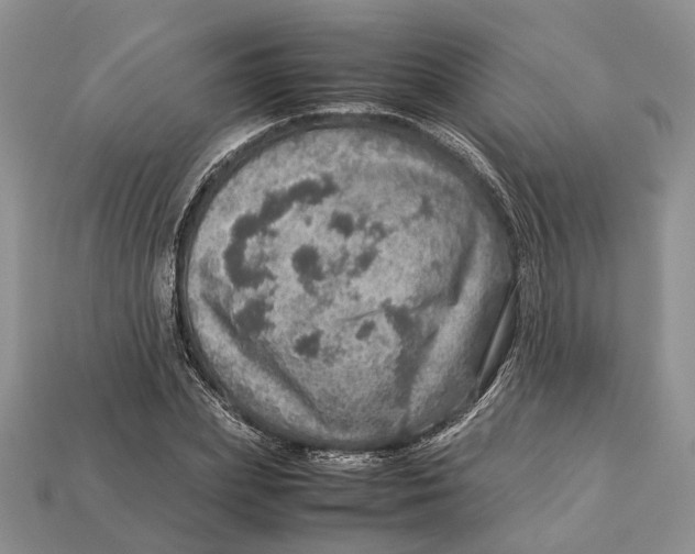 X0000112950831200909211153