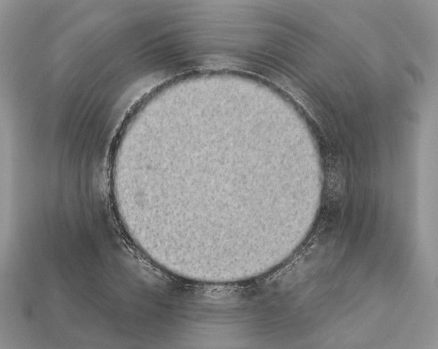 X0000112950832200909211153