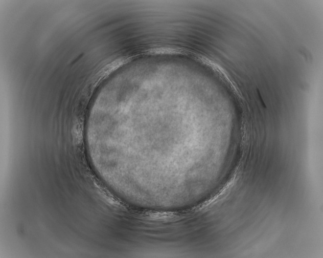 X0000112950833200909211153