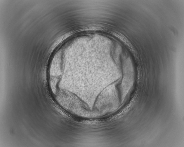 X0000112950834200909211153