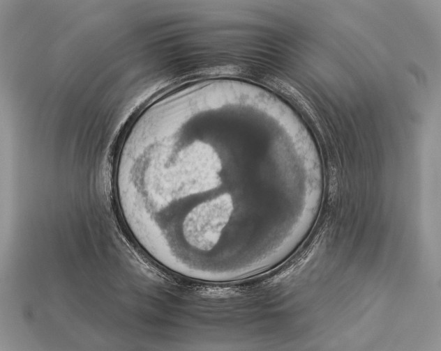 X0000112950835200909211153