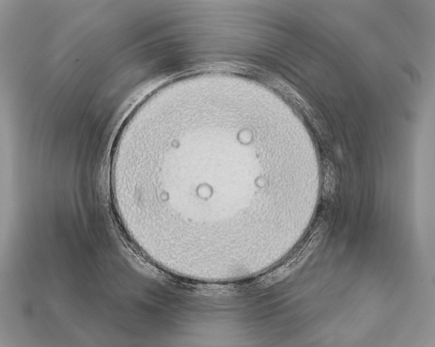 X0000112950836200909211153