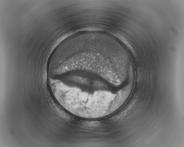 X0000112950837200909211153