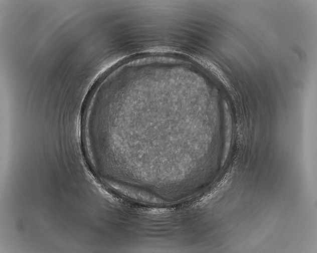 X0000112950839200909211153