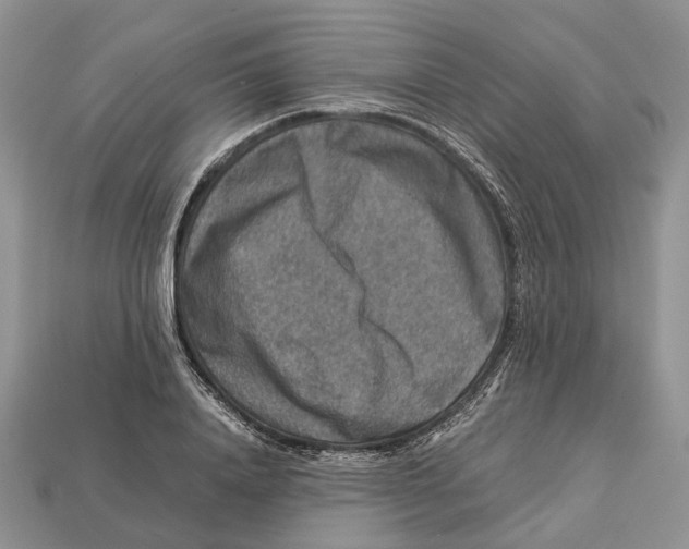 X0000112950840200909211153