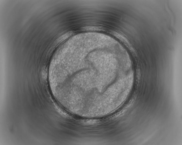 X0000112950841200909211153