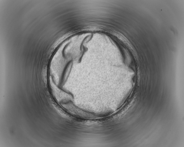 X0000112950842200909211153