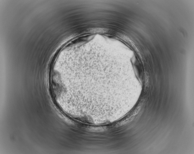 X0000112950843200909211153