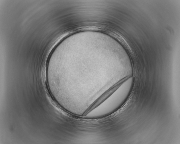 X0000112950844200909211153