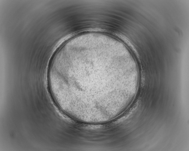 X0000112950845200909211153