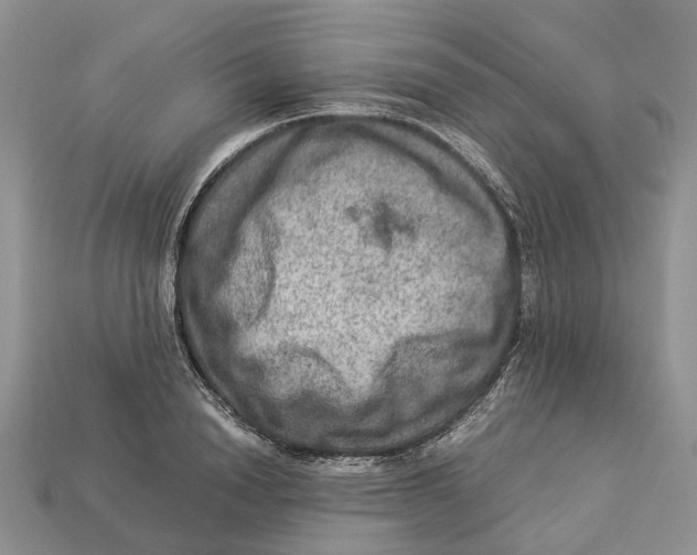 X0000112950846200909211153