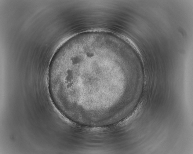 X0000112950847200909211153