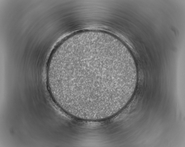 X0000112950848200909211153