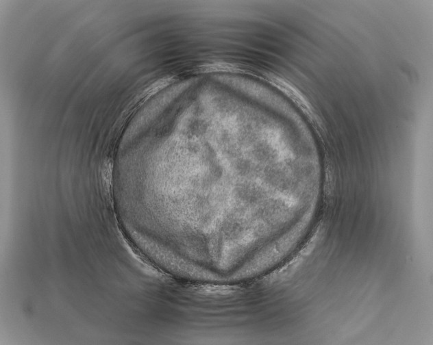 X0000112950849200909211153