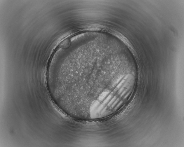 X0000112950850200909211153