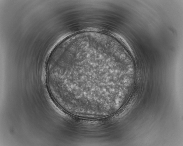 X0000112950851200909211153