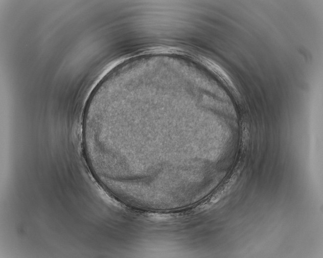 X0000112950852200909211153