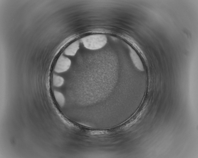 X0000112950853200909211153