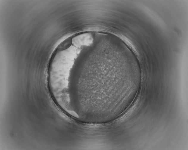 X0000112950854200909211153