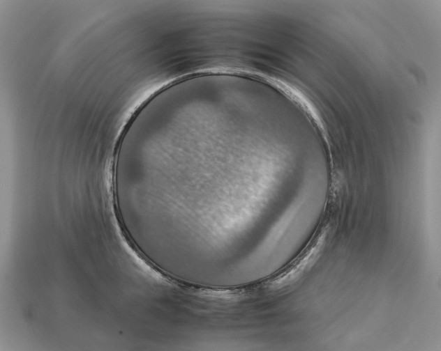 X0000112950855200909211153