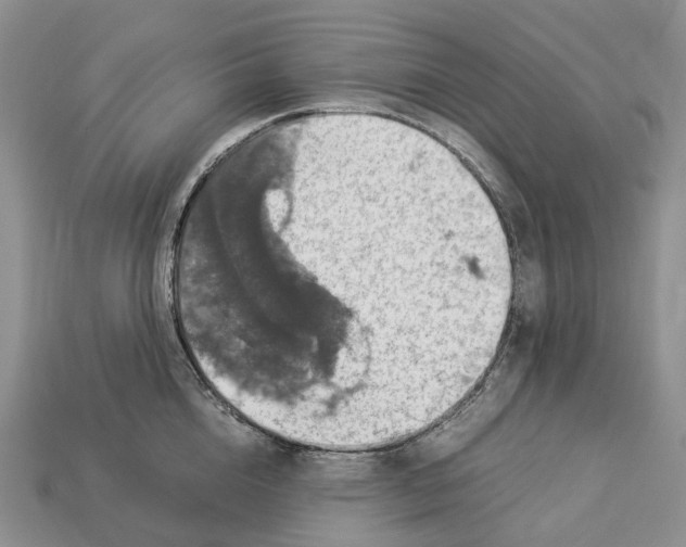 X0000112950856200909211153