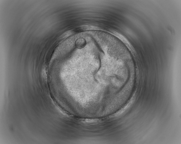 X0000112950857200909211153