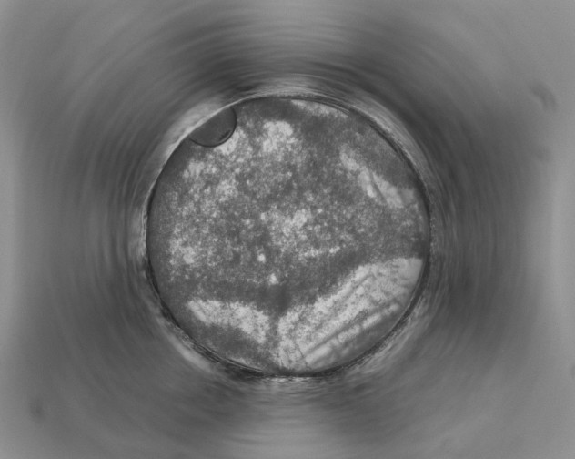 X0000112950858200909211153