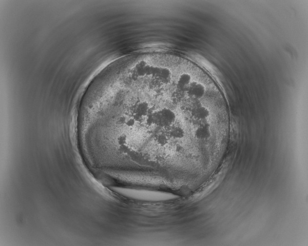 X0000112950859200909211153