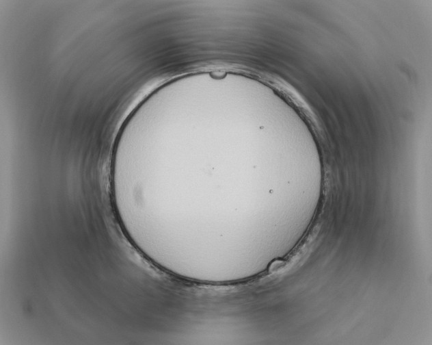 X0000112950860200909211153