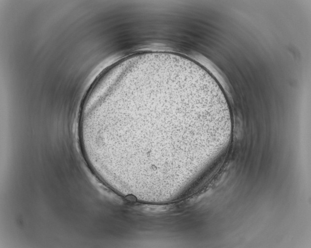 X0000112950861200909211153