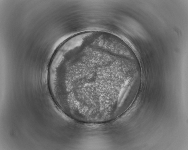 X0000112950862200909211153