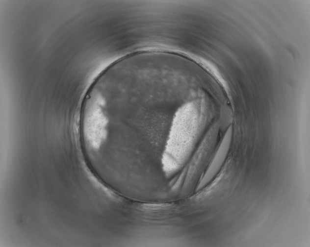 X0000112950863200909211153