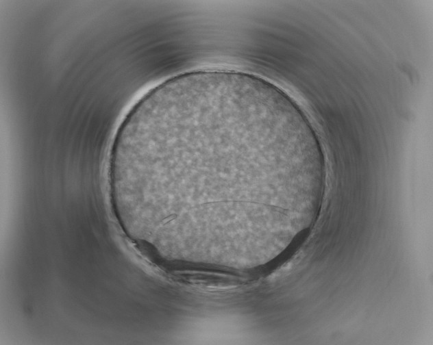 X0000112950864200909211153