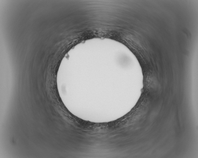 X0000112950865200909211152